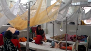 बंगलादेशमा डेंगुका बिरामीको संख्या ५० हजार नाघ्यो, २६४ जनाको मृत्यु