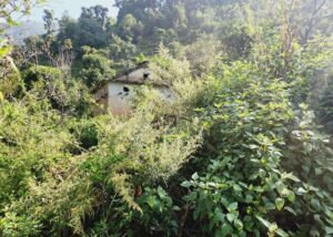 रित्तिएको गडीगाउँमा वनमाराको राज, जहाँ मलामी पनि भेटिँदैन
