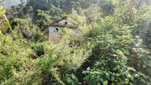 सुनसान गाउँ, बिरामीलाई अस्पताल लैजाने मानिस पाउनै मुस्किल