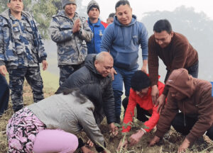 शहीदहरुको स्मरणमा मधेस भवन परिसरमा वृक्षारोपण