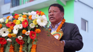 दुई ठूला दलहरु नमिलिकन राजनीतिक स्थायित्व सम्भव नदेखिएपछि कांग्रेस–एमाले मिल्यौँः उपप्रधानमन्त्री सिंह