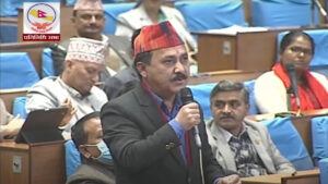 ‘संसदको विधायिकी काममा राजनीतिक दलरुले योग्यता प्रश्तुत गर्न सकेनन्’ : काँग्रेस महामन्त्री शर्मा