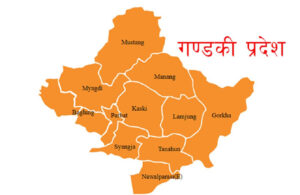 पर्वतको लाङ्दीमा पहिरोले घर पुरिँदा दुई जना बेपत्ता