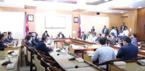 सरकारले विपदमा राहत र उद्धारका लागि ड्रोनको प्रयोग गर्ने