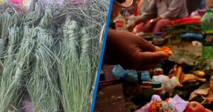 कुशे औंसीः पितृ सम्मान र कुश भित्र्याइँदै