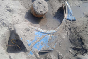 चितवनको सिमलतालमा पहिरोले बगाएका दुई बसमध्ये एउटा बस डेढ वर्षपछि फेला