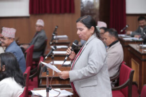 चुनावी अभियानमा नेपाली झण्डाको प्रयोग गर्न रोक लगाइयोस्ः गंगाकुमारी बेलवासे