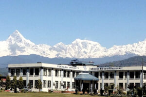 पोखरा विश्वविद्यालयका ६ हजार ६२२ जना आज दीक्षित हुँदै