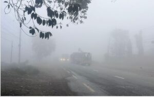 मौसम : हिमाली भूभागमा बादल, तराईमा कुहिरो र हुस्सु