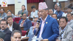 शेयर बजारमा ठूला लगानीकर्ता बाहिरिने खतरालाई टार्न सरकारले तत्काल आवश्यक कदम चाल्नुपर्छः काँग्रेस सांसद रोकाय